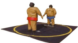 sumo-wrestling