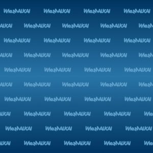 blauer-hintergrund-mit-wiemaikai-logo-wiederholbar