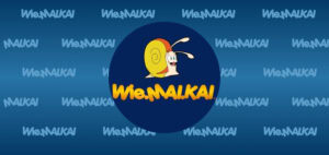 wiemaikai hintergrund Teaser mit Logo