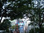 Shibuya