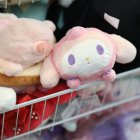 wiemaikai-2024-impressionen-14-fotograf-flagmon