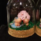 wiemaikai-2025-aussteller-38-fotograf-katharina