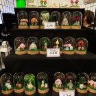 wiemaikai-2025-aussteller-39-fotograf-katharina