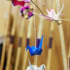 wiemaikai-2025-aussteller-48-fotograf-katharina