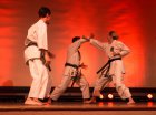 wiemaikai_2014_samurai_hayashi_karategruppe_(zappy)_009